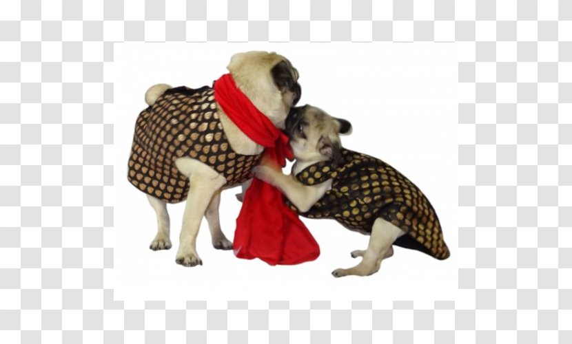 Dog Breed Pug Puppy Coat Clothes Transparent PNG