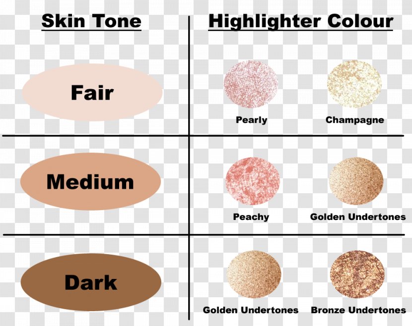 Human Skin Color Highlighter - Chart - Tone Transparent PNG