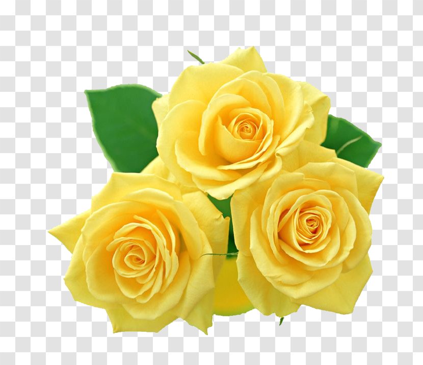 Rose Yellow Clip Art - Flowers Bouquet File Transparent PNG
