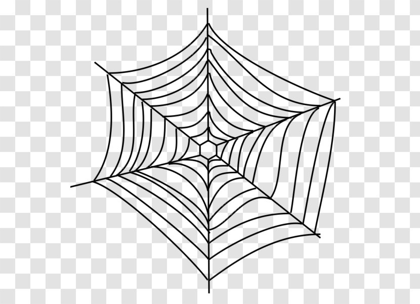 Spider Web Drawing - Rectangle Transparent PNG