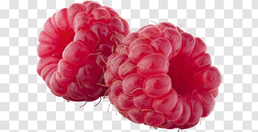 Raspberry Coulis Ripening Fruit - Royaltyfree Transparent PNG