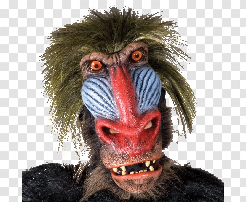 Old World Monkeys Mandrill Mask Ape Primate - Latex - Rug Cleaning Funny Transparent PNG