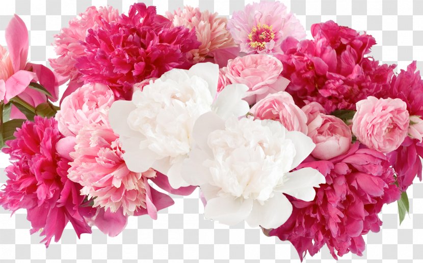 Peony Floral Design Flower Photography - Floristry Transparent PNG