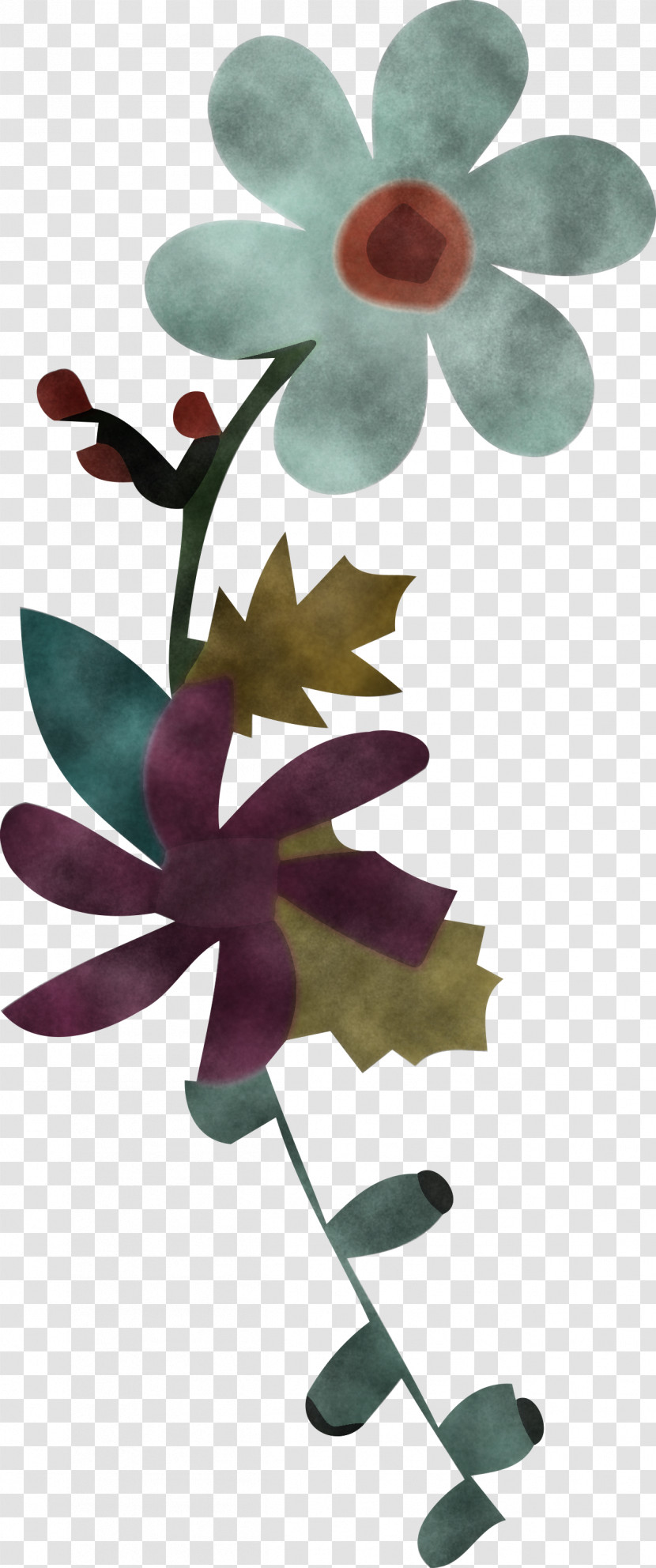 Flower Transparent PNG
