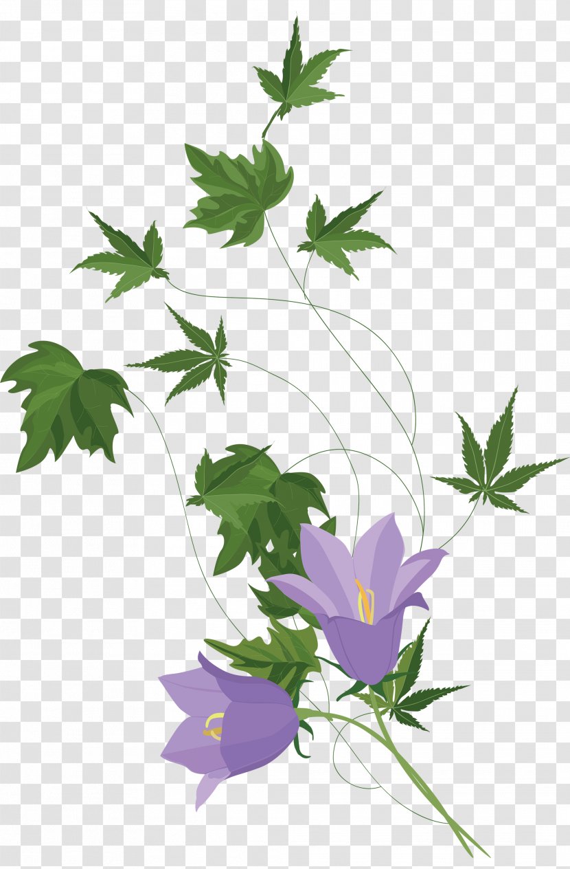 Flower File Format JPEG Plant Stem - Yandex - Beautiful Flowers Transparent PNG