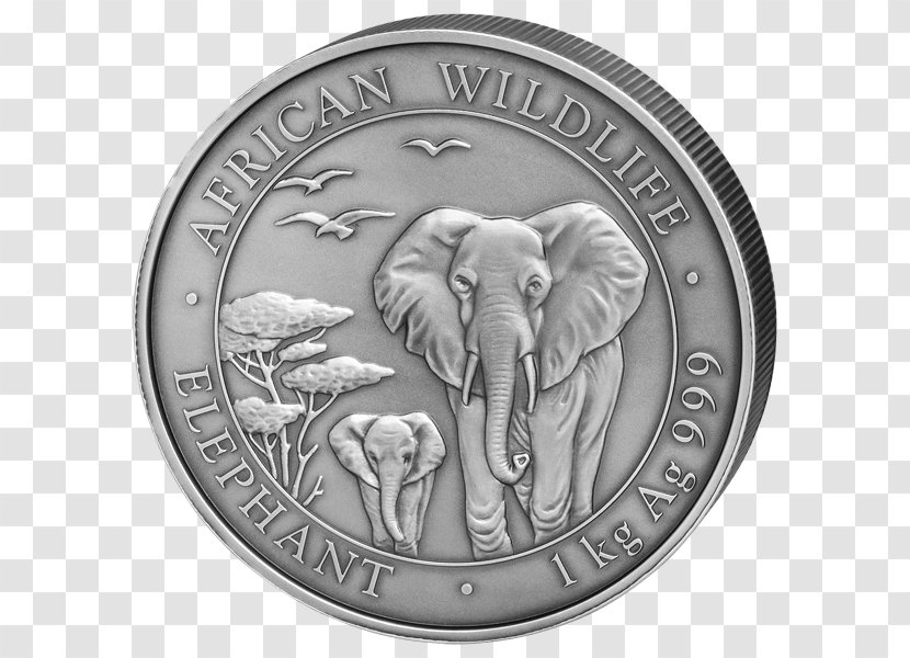 Silver Coin African Elephant Indian - Bullion Transparent PNG