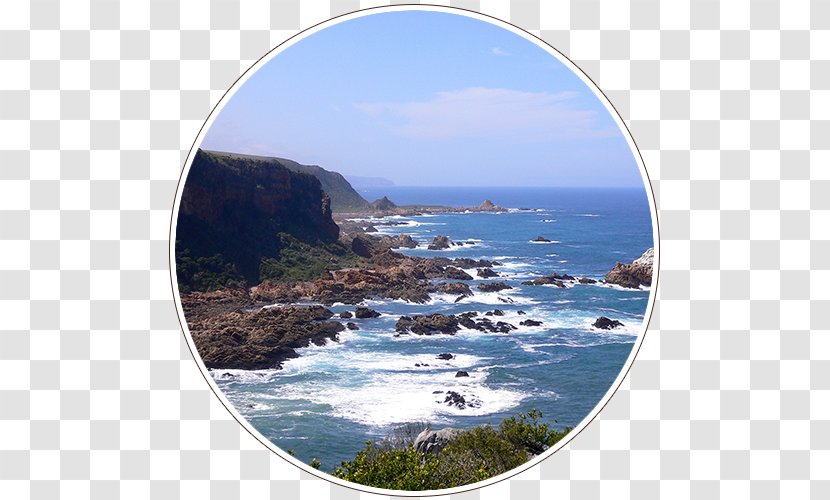 South African National Parks Garden Route District Municipality West Coast - Headland - Park Transparent PNG