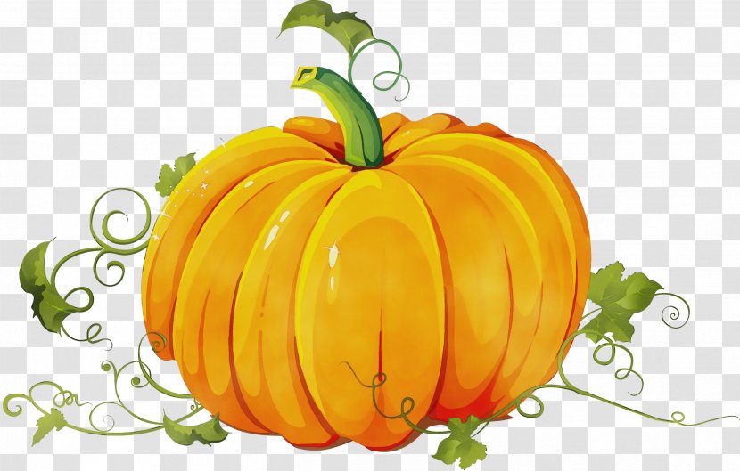 Pumpkin - Wet Ink - Food Fruit Transparent PNG