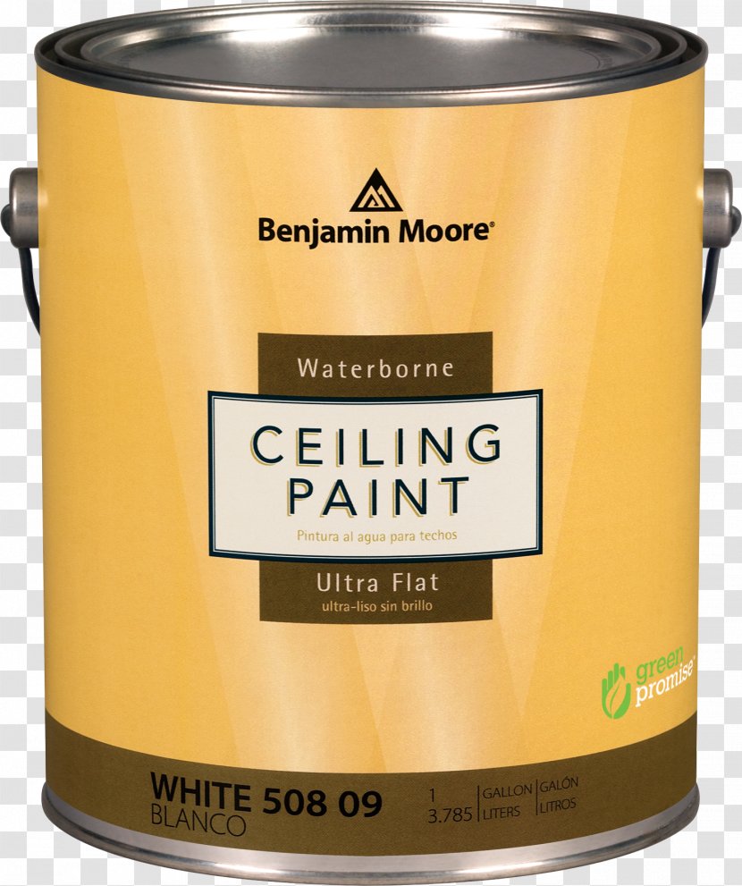 Benjamin Moore & Co. Da Kine Paints LLC - Llc - Painted CeilingPaint Transparent PNG