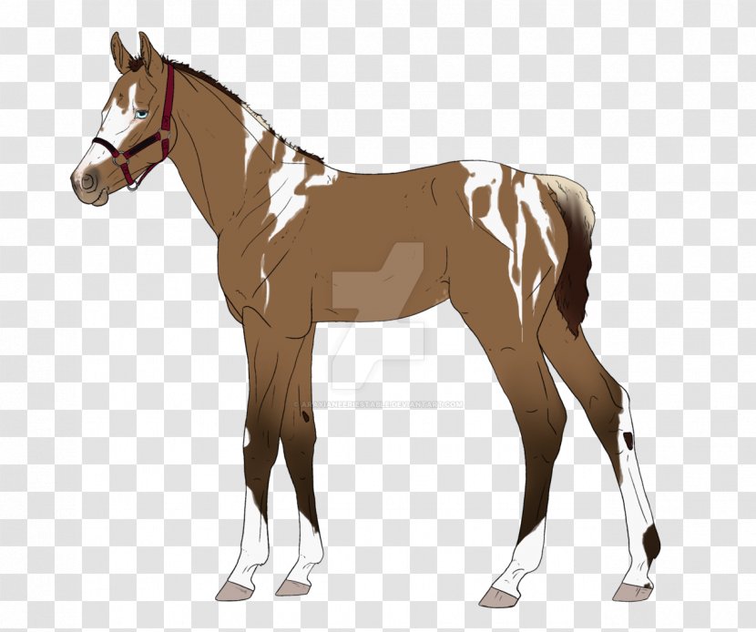 Mule Mare Colt Foal Stallion - Horse Harness - Ian Yule Transparent PNG