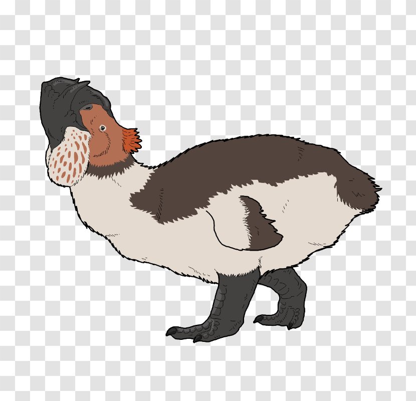 Duck Goose Flightless Bird Anseriformes - Water Transparent PNG