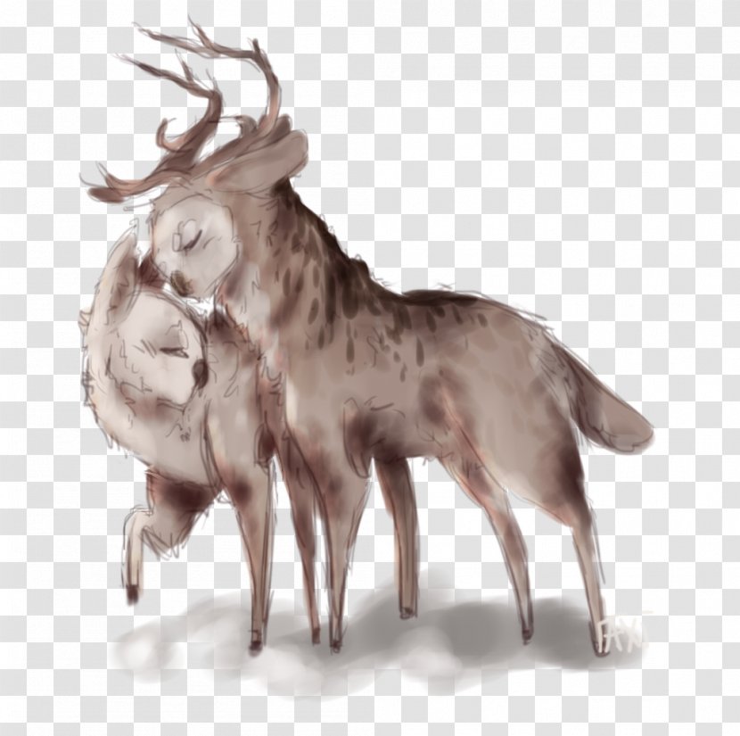 Reindeer Dog Antler Canidae Snout Transparent PNG