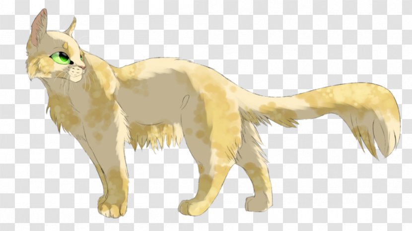 Cat Red Fox Mammal Carnivora Animal - Tail - Wisteria Transparent PNG