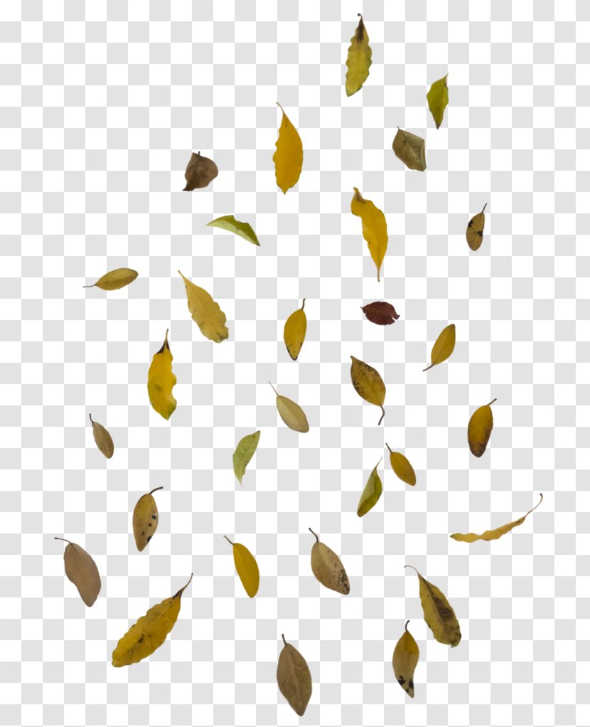 Autumn Leaf Color Clip Art - Petal - Falling Transparent PNG
