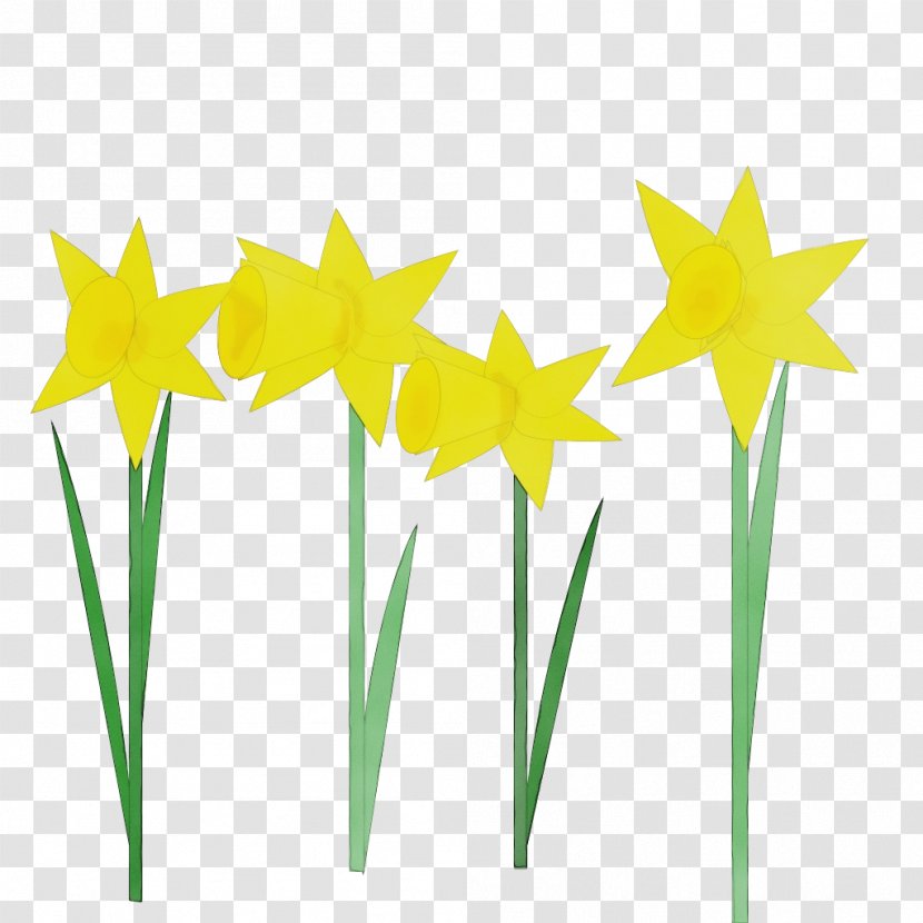 Yellow Clip Art Plant Grass Narcissus - Flower Stem Transparent PNG