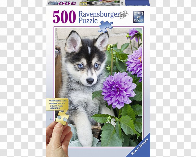 Siberian Husky Jigsaw Puzzles Puppy Pomeranian Ravensburger Transparent PNG