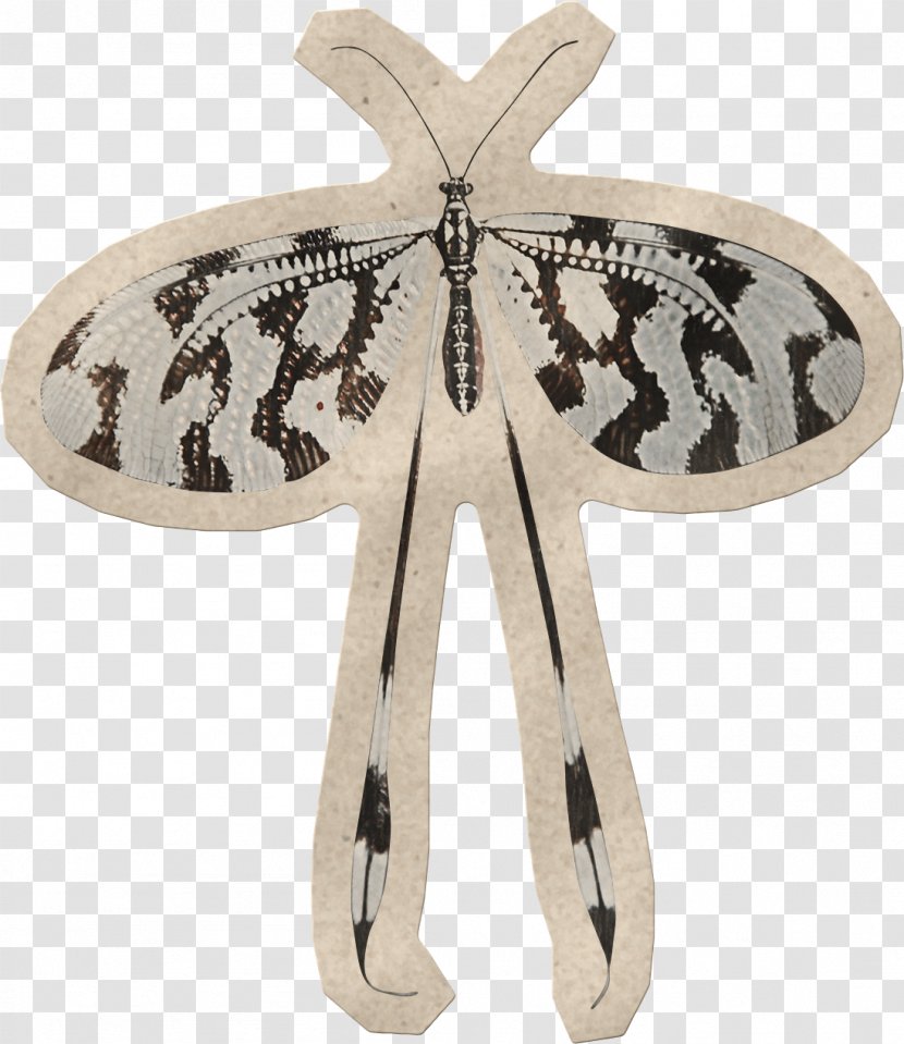 Butterfly Black And White Sticker Photography - Pollination Transparent PNG