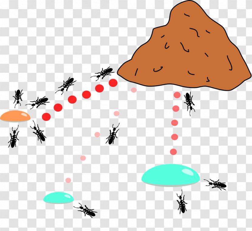 Ant Colony Optimization Algorithms Behavior Animal - Ants Transparent PNG