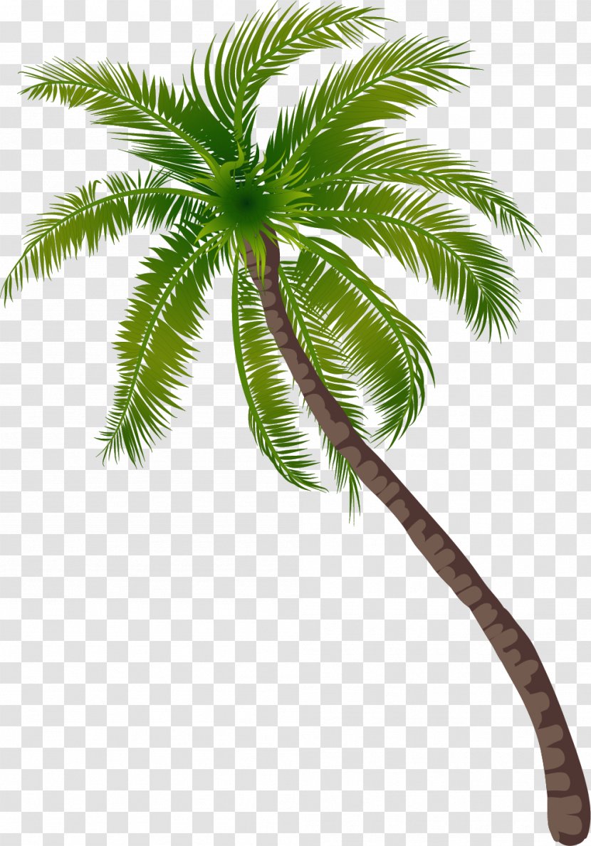 Coconut Tree - Flowerpot - Beach Pattern Transparent PNG