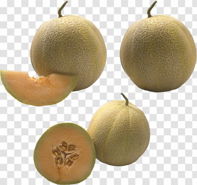 Cantaloupe Food Fruit Honeydew - Mangosteen Transparent PNG