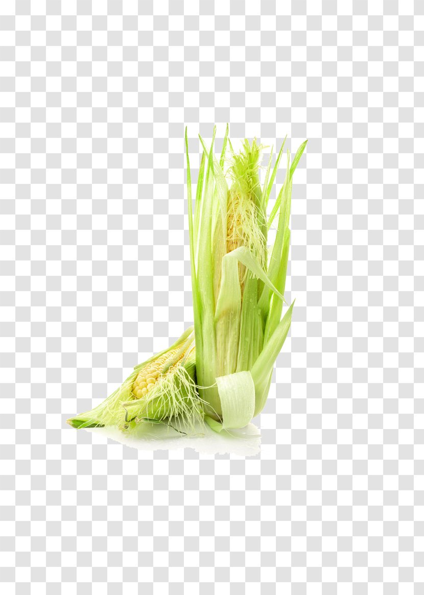 Corn On The Cob Maize Kernel - Grain - A Big Transparent PNG