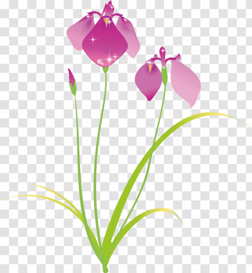 Flower Top - Red Transparent PNG
