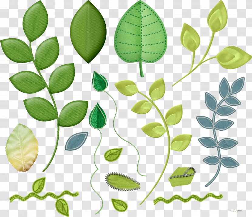 Leaf Plant Stem Clip Art - Fruit Transparent PNG