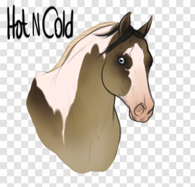 Foal Stallion Bridle Mare Colt - Head - Hot Cold Transparent PNG