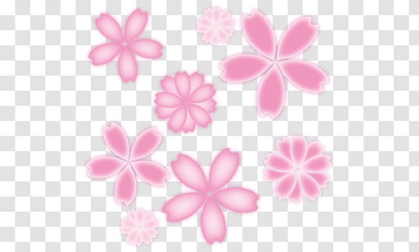 Spring Sakura Flower Illustration. - Pink M - Petal Transparent PNG