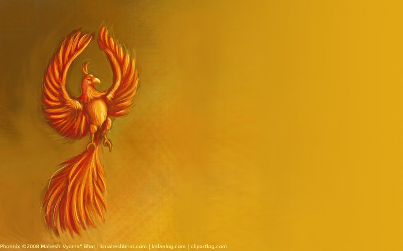 Phoenix Bird Desktop Wallpaper Legendary Creature Drawing - Metaphor Transparent PNG