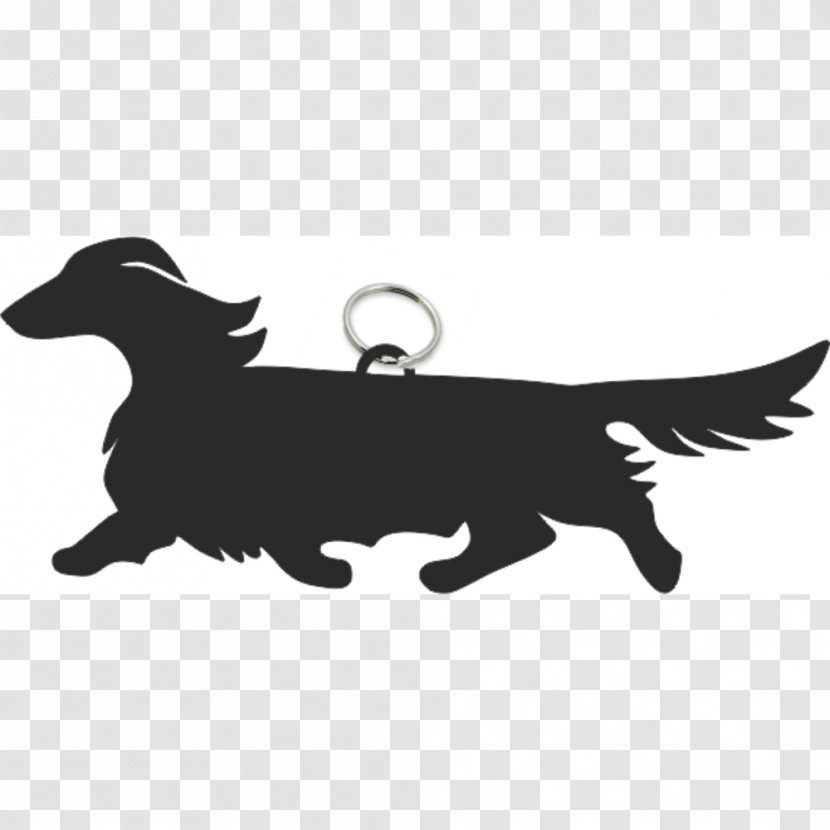 Dachshund German Wirehaired Pointer Puppy Basset Hound Teckel à Poil Dur - Drawing Transparent PNG