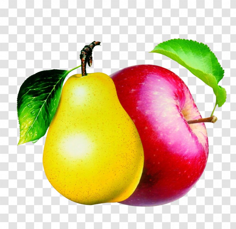 Pear Pome Apple Clip Art - Mcintosh - Apples And Pears Transparent PNG