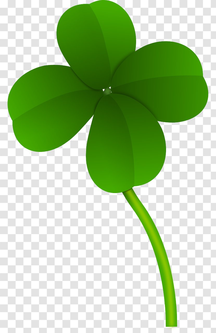 Four-leaf Clover Shamrock Clip Art - Flower - Tiki Bar Clipart Transparent PNG