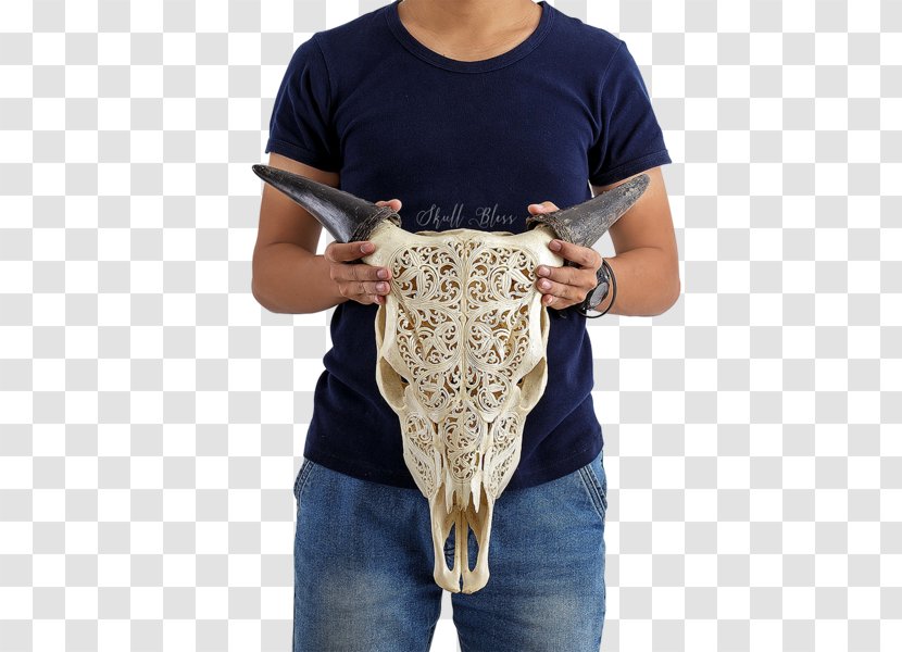 XL Horns Skull Circle Cattle - Sleeve Transparent PNG