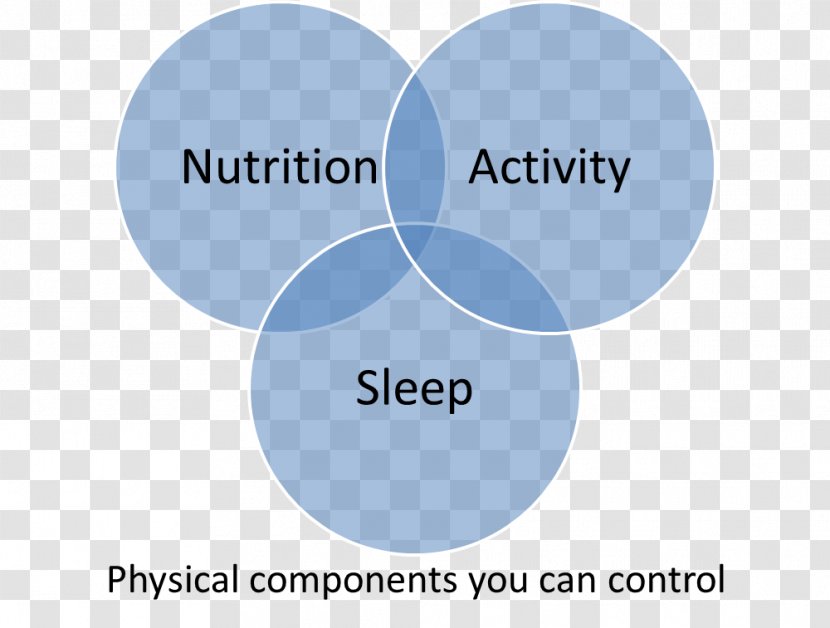 Physical Fitness Nutrition Health Exercise Dimension - Text Transparent PNG