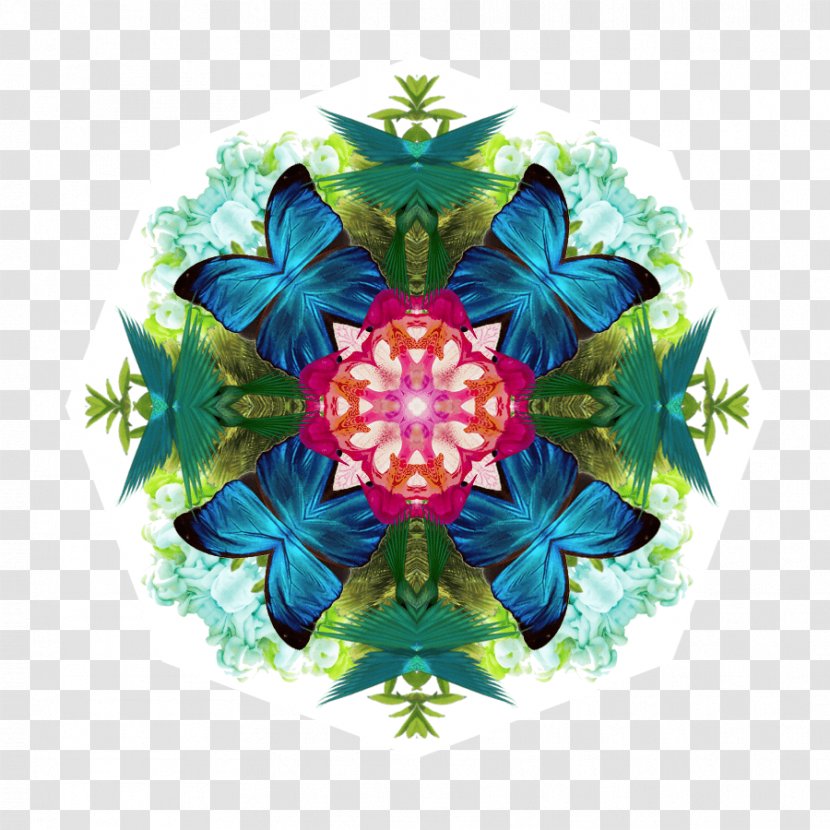 Petal Kaleidoscope Symmetry Pattern - Leaf Transparent PNG