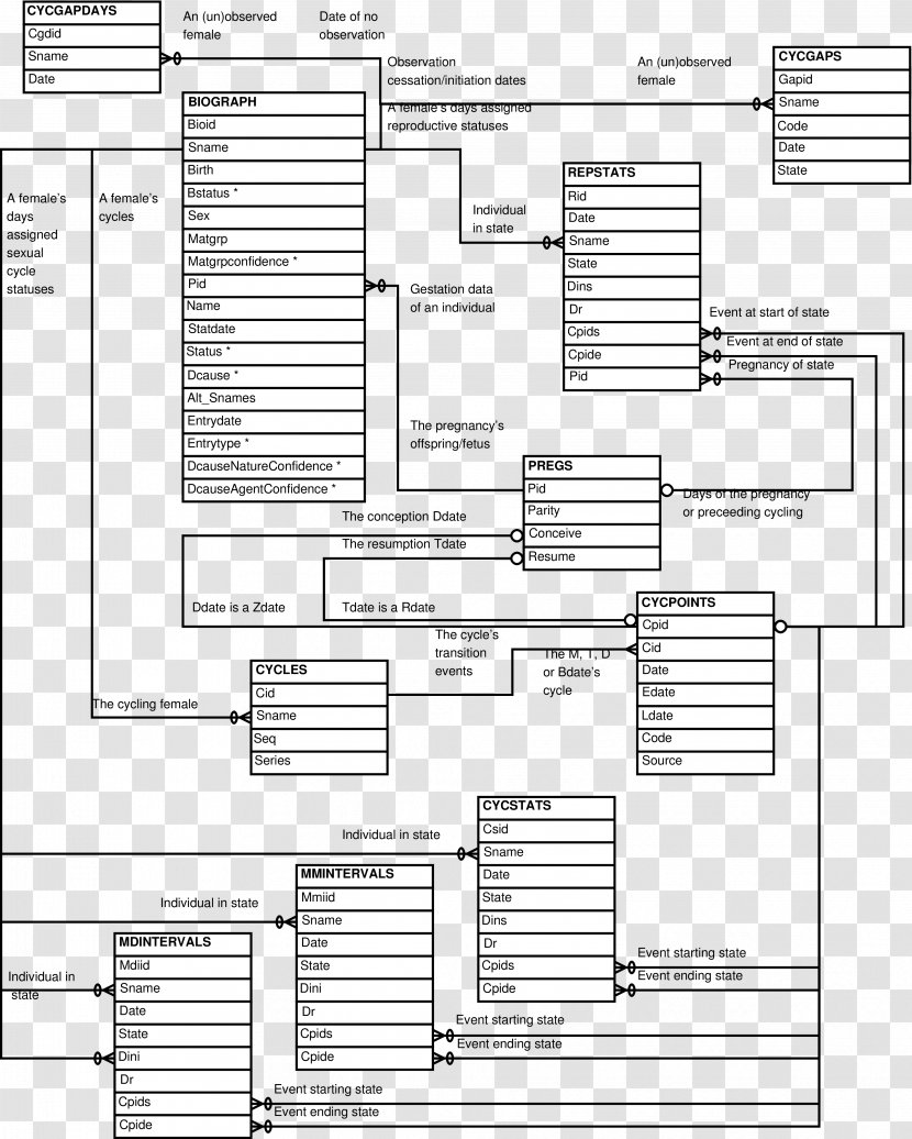 Floor Plan Paper Technical Drawing - Text - Design Transparent PNG