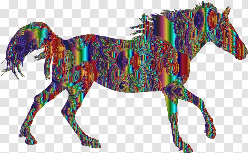 Arabian Horse American Paint Mustang Rocky Mountain Andalusian - Mane Transparent PNG