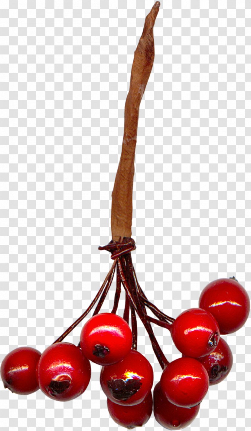 Cherry Clip Art - Microsoft Word - Material Transparent PNG