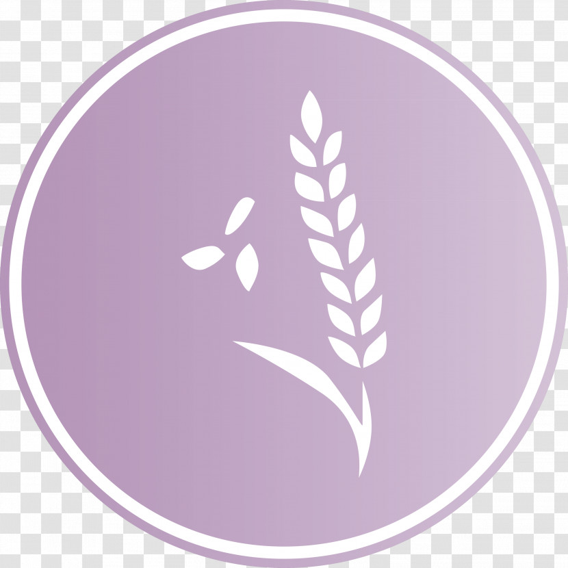 Oats Wheat Oats Logo Transparent PNG