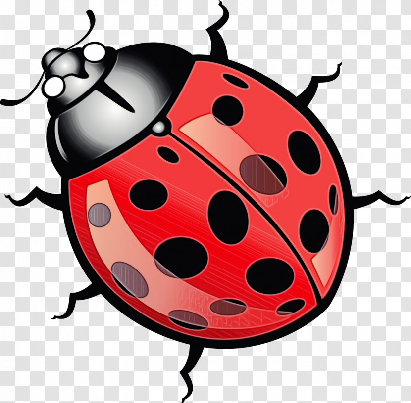 Ladybird Beetle Cartoon Drawing Volkswagen Beetle Volkswagen New Beetle Transparent PNG