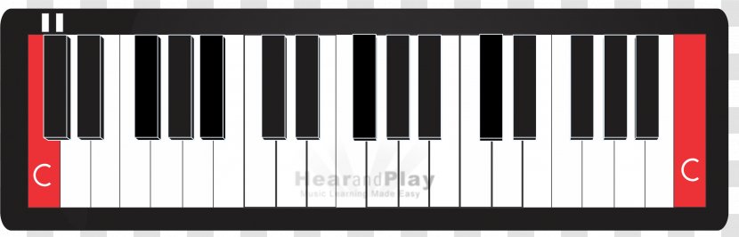 Nord Electro Electronic Musical Instruments Keyboard - Piano Transparent PNG