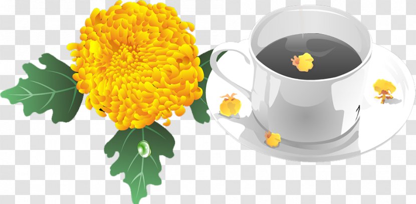 Green Tea Coffee Cup - Chrysanthemum Transparent PNG