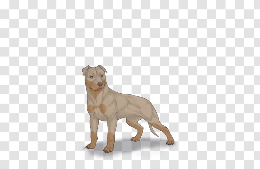 Dog Breed Puppy Snout - Carnivoran - Pit Bull Transparent PNG