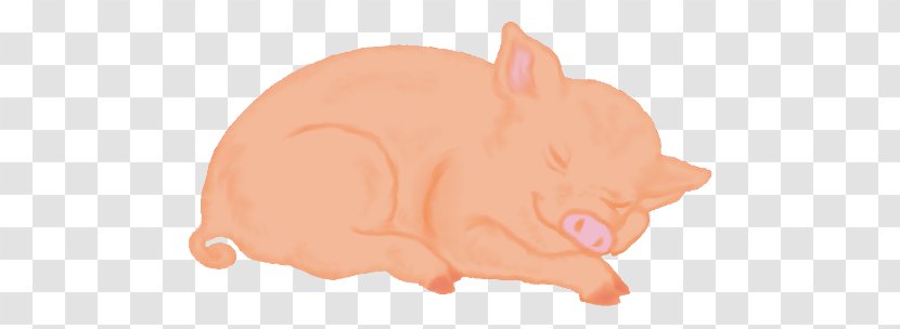 Domestic Pig Clip Art - Tail Transparent PNG