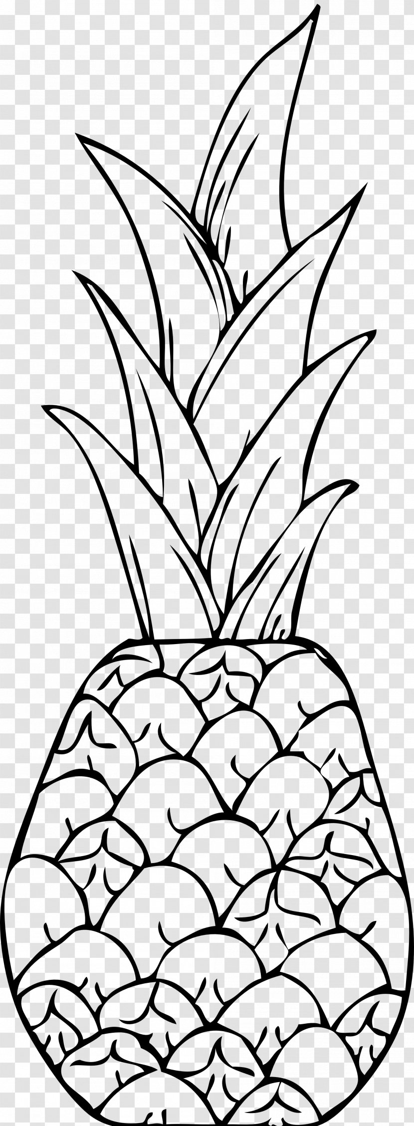 Pineapple Drawing Clip Art - Monochrome Transparent PNG