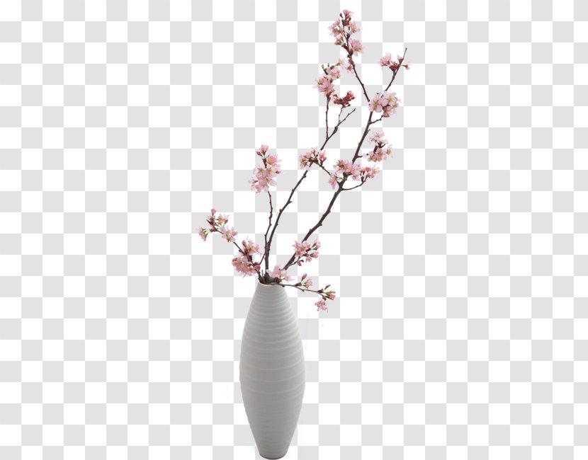 Vase - Branch - Flower Transparent PNG