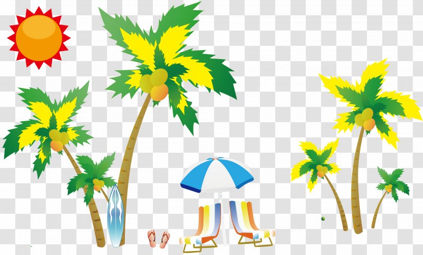 Coconut Clip Art - Flora - Seaside Tree Transparent PNG