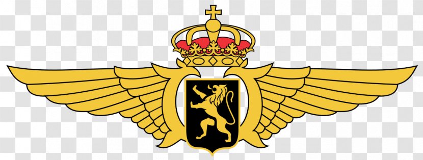 NHIndustries NH90 Belgian Air Component Bierset Airbase Force Armed Forces - Philippe Of Belgium - Military Transparent PNG