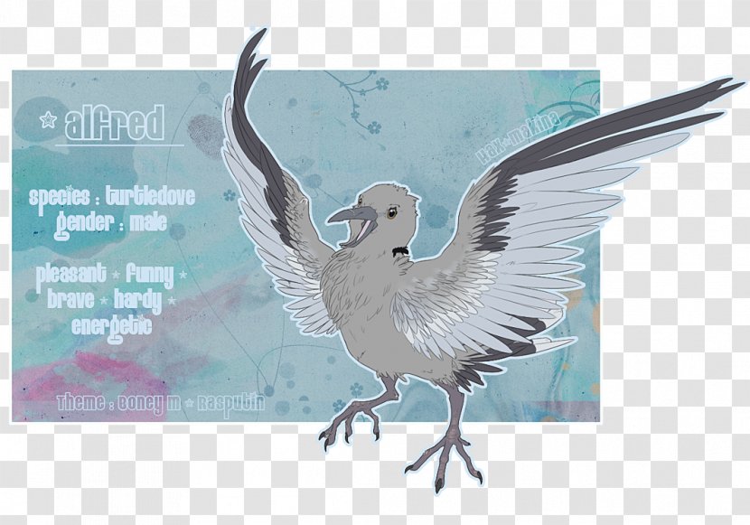 Beak Fauna Seabird Feather - Wing Transparent PNG